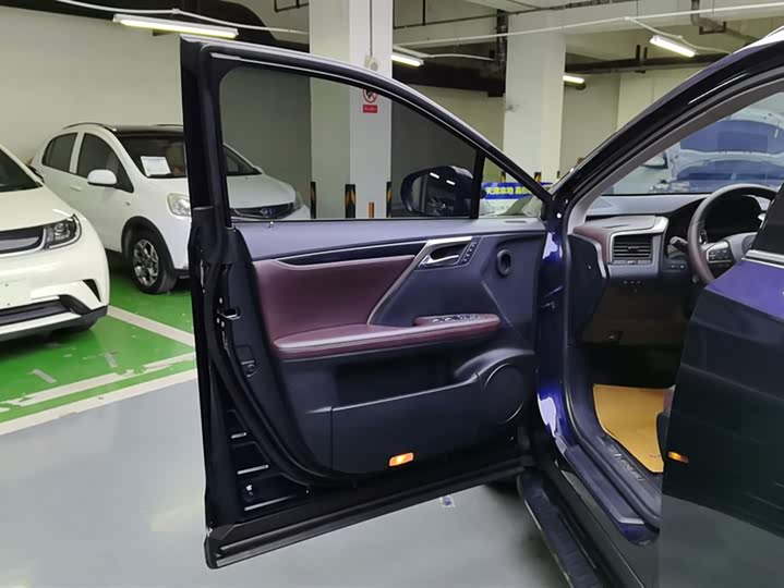 Фото 7 - Lexus RX