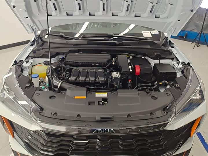 Фото 10 - Dongfeng Aeolus Yixuan GS