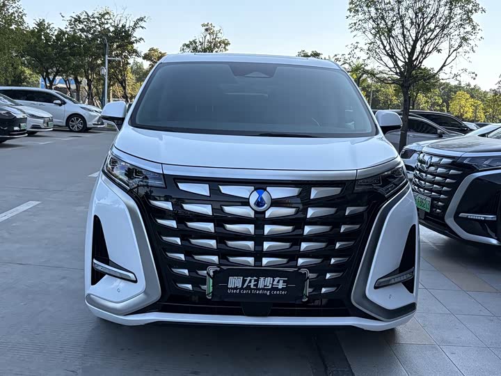 Фото 2 - Denza D9