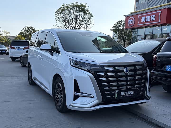 Фото 3 - Denza D9