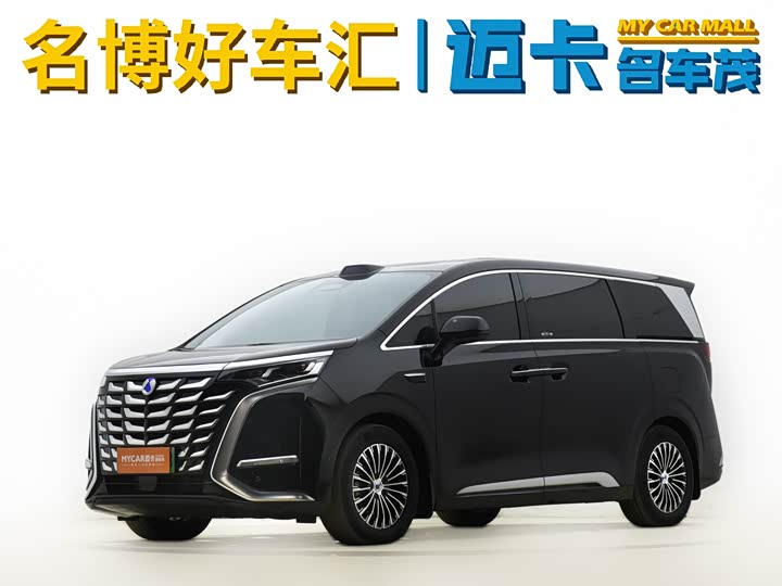 Фото 1 - Denza D9