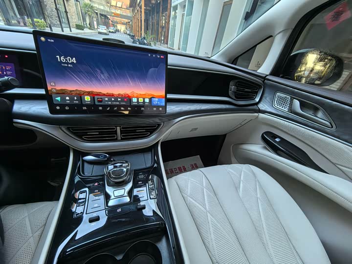 Фото 12 - Denza D9