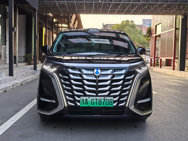 Фото 17 - Denza D9