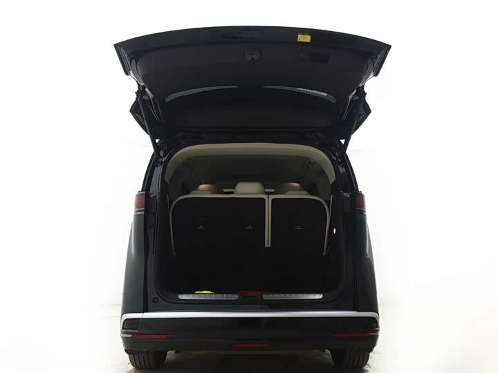 Фото 18 - Denza D9