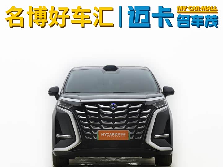 Фото 2 - Denza D9