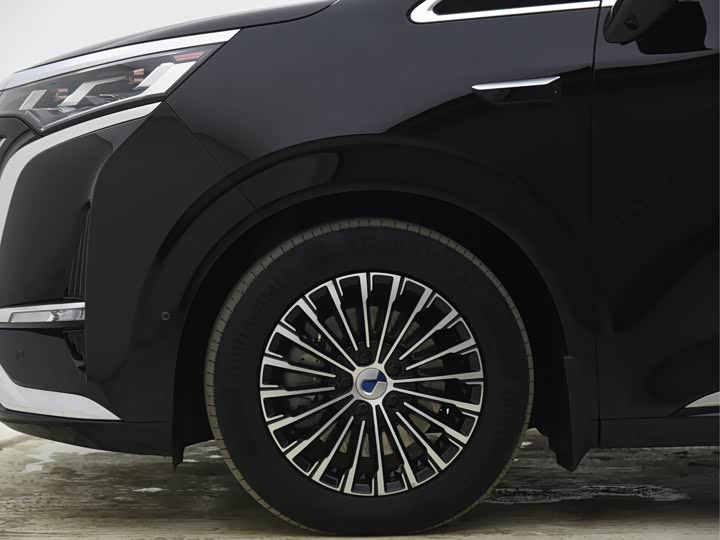 Фото 20 - Denza D9