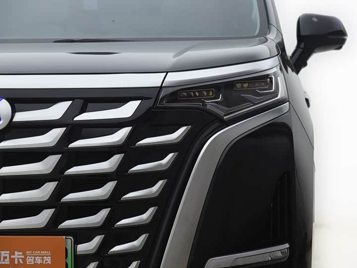 Фото 21 - Denza D9