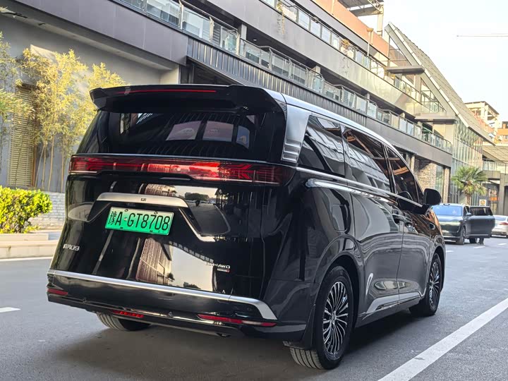 Фото 23 - Denza D9