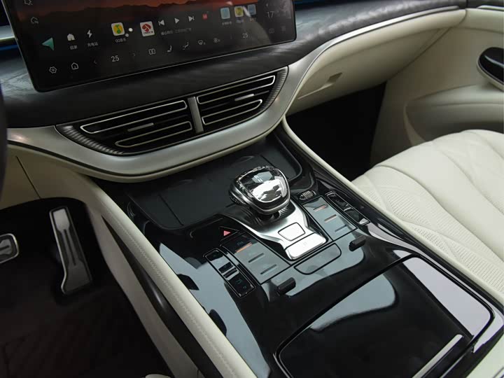 Фото 26 - Denza D9