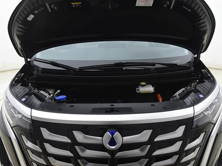 Фото 28 - Denza D9