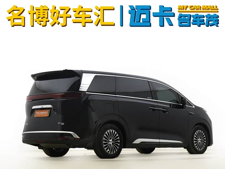 Фото 3 - Denza D9