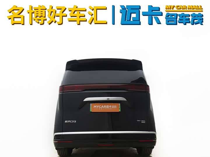 Фото 4 - Denza D9