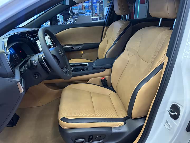 Фото 11 - Lexus RZ