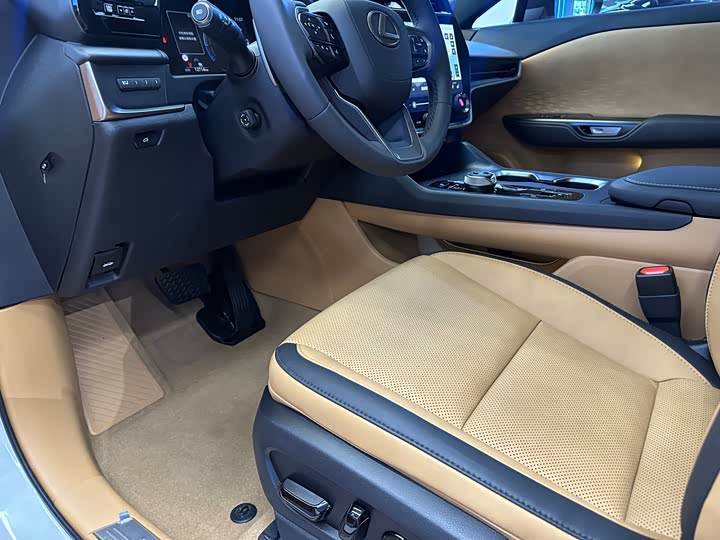 Фото 12 - Lexus RZ