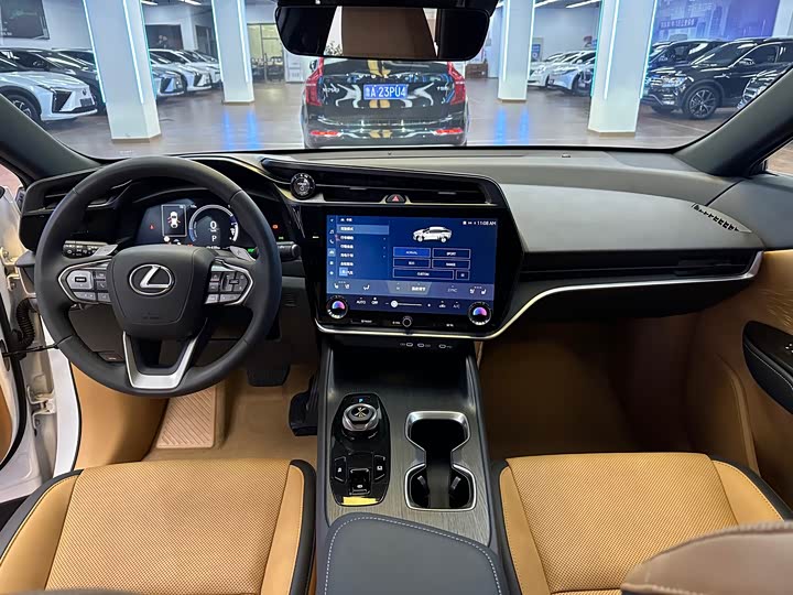 Фото 23 - Lexus RZ