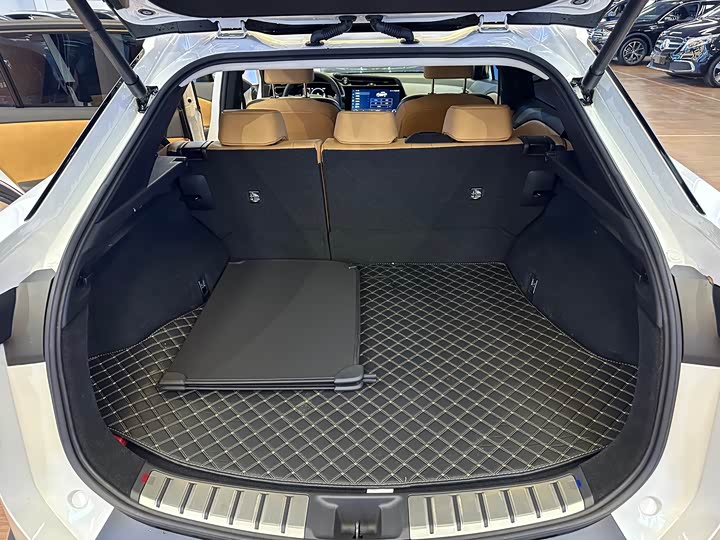 Фото 24 - Lexus RZ