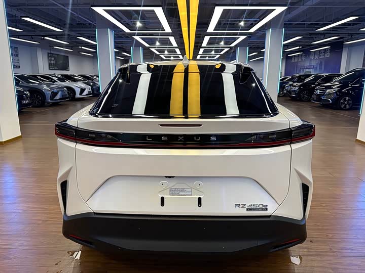 Фото 6 - Lexus RZ