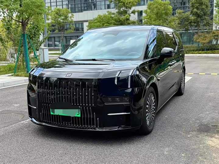 Фото 1 - Zeekr 009