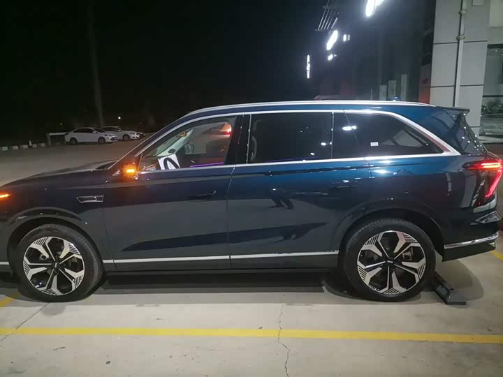 Фото 5 - Wey Lanshan