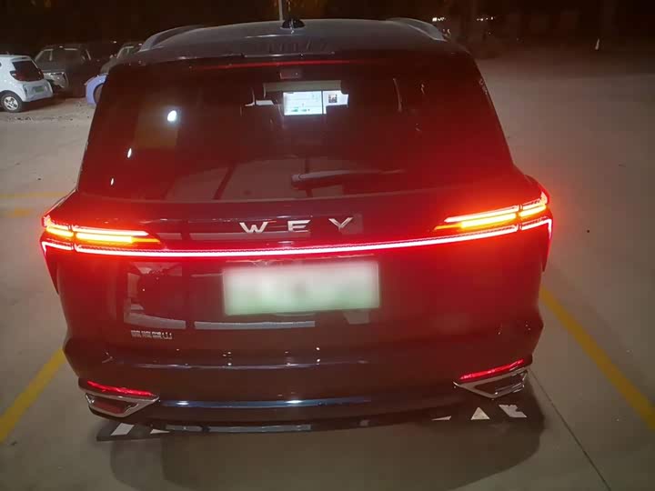 Фото 6 - Wey Lanshan