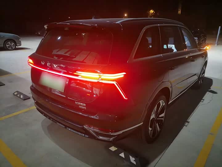 Фото 7 - Wey Lanshan