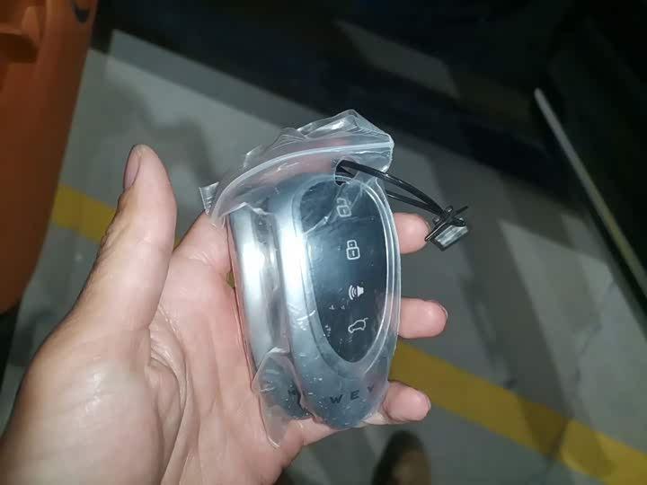 Фото 9 - Wey Lanshan