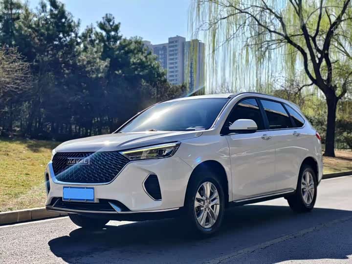 Фото 1 - Haval M6
