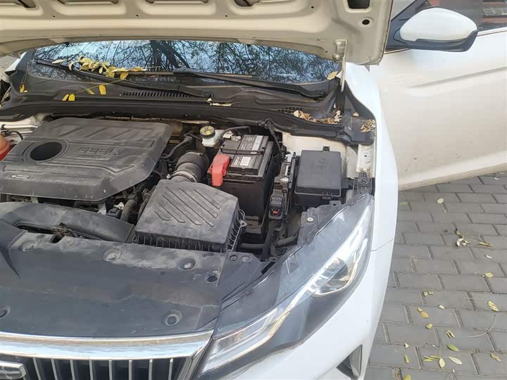 Фото 22 - Geely Emgrand GL