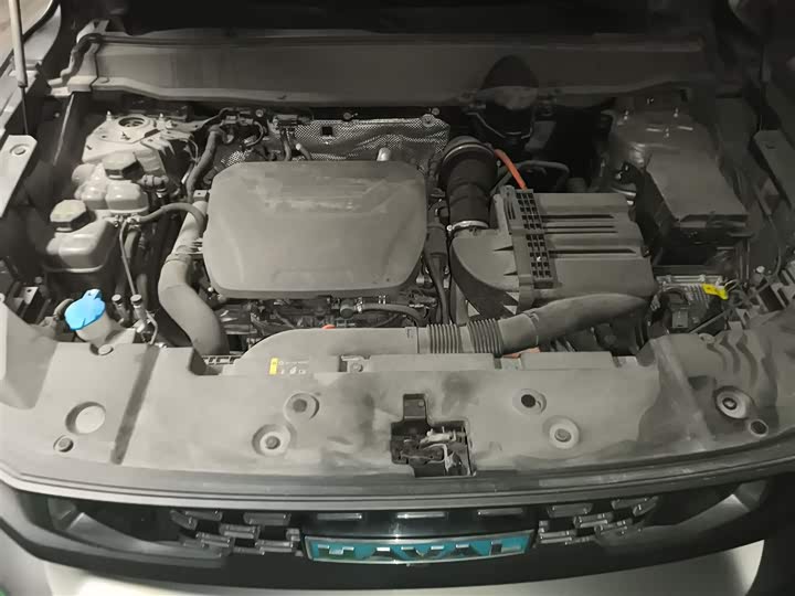 Фото 11 - Haval H-Dog Hybrid