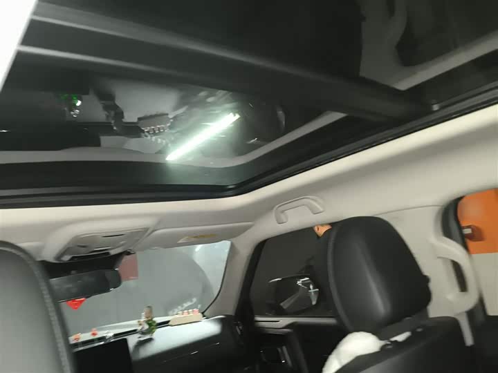 Фото 9 - Haval H-Dog Hybrid