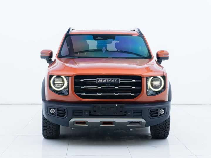 Фото 2 - Haval Dargo