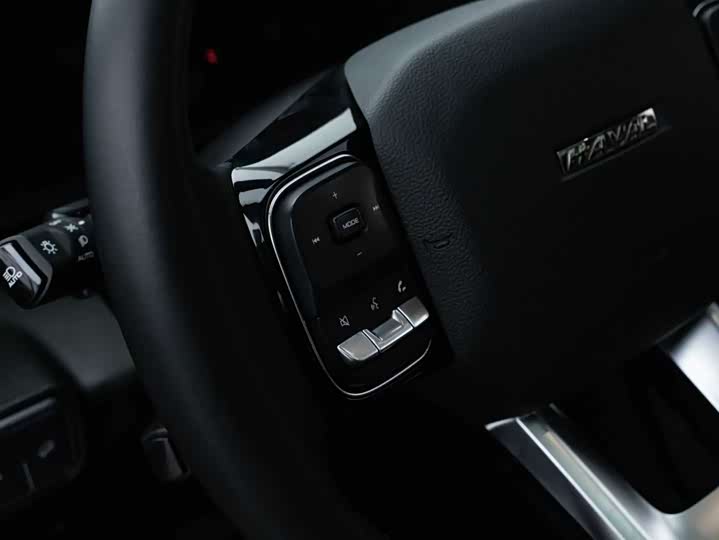 Фото 27 - Haval Dargo