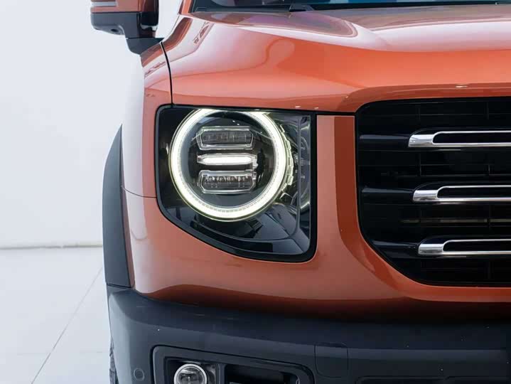 Фото 4 - Haval Dargo