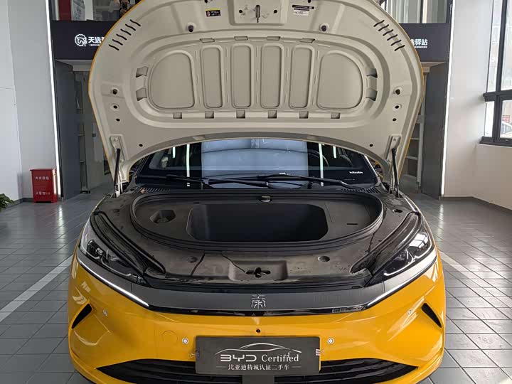 Фото 2 - BYD Qin L