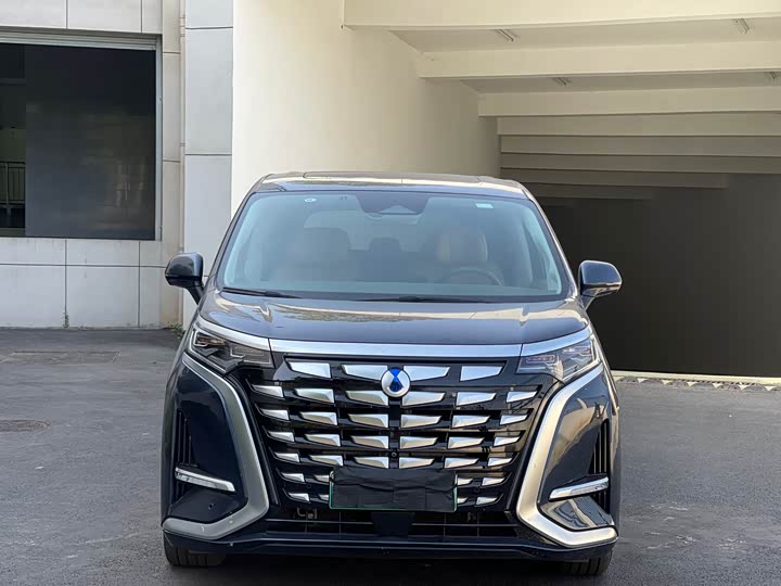 Фото 2 - Denza D9