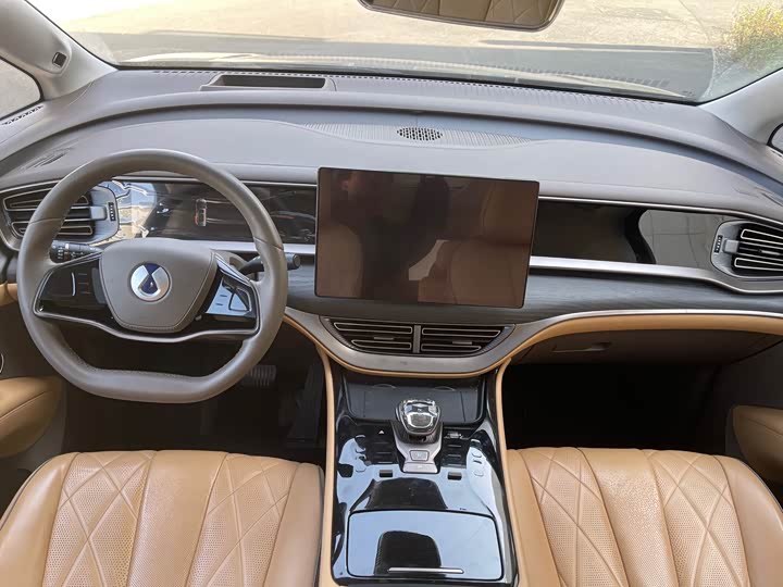 Фото 8 - Denza D9