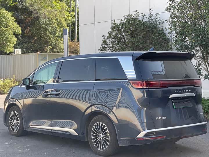 Фото 9 - Denza D9