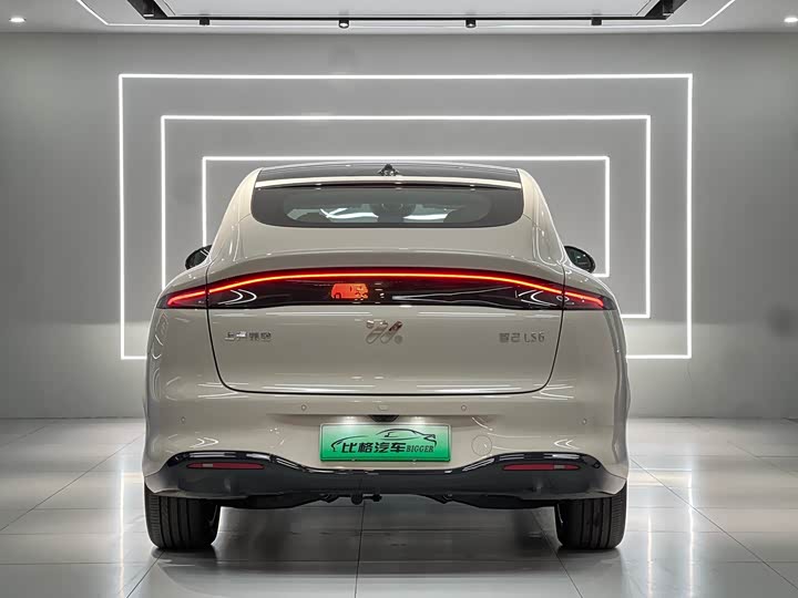 Фото 5 - IM motors LS6