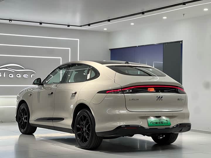 Фото 6 - IM motors LS6