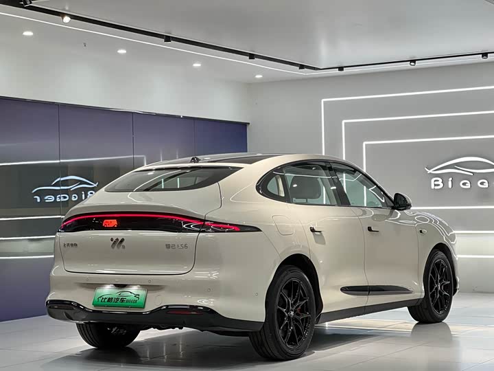 Фото 7 - IM motors LS6