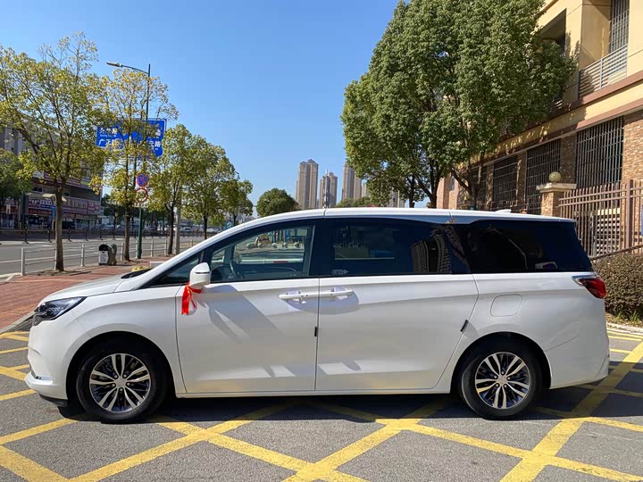 Фото 5 - Buick GL8 ES