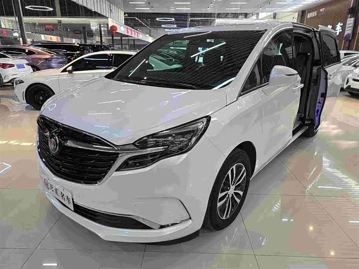 Фото 1 - Buick GL8 ES