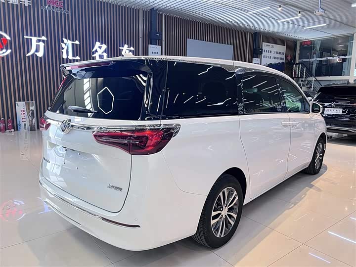 Фото 5 - Buick GL8 ES