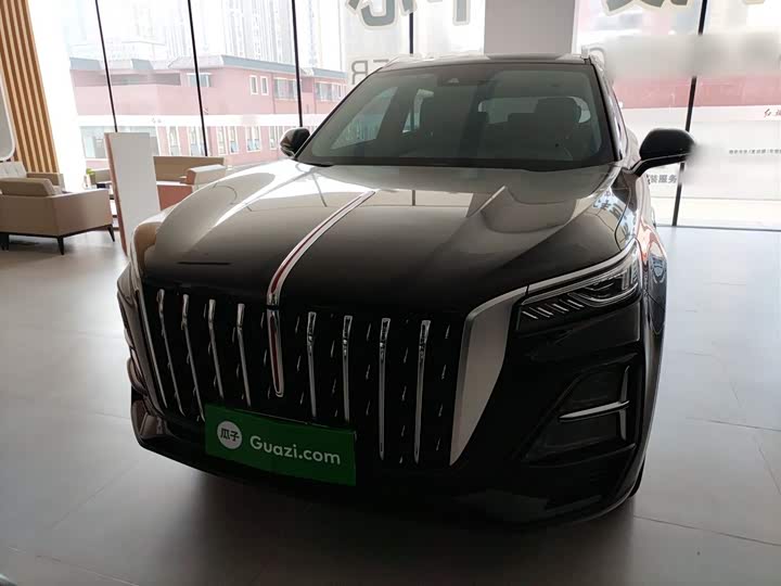 Фото 3 - Hongqi HS5