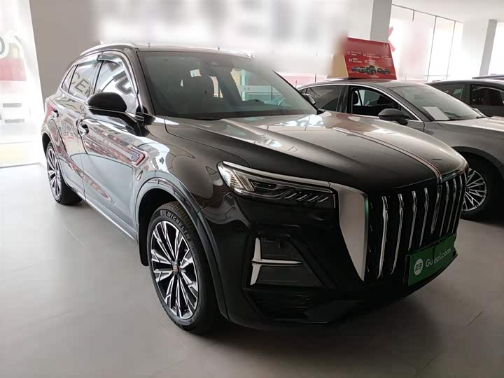 Фото 4 - Hongqi HS5