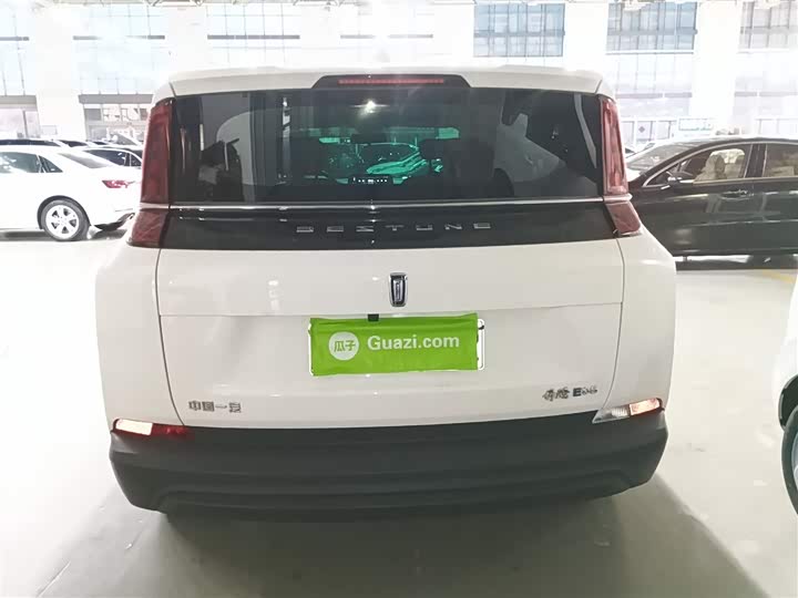 Фото 6 - Bestune NAT