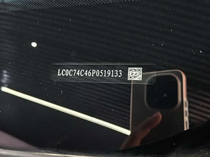 Фото 19 - BYD Tang Hybrid/EV