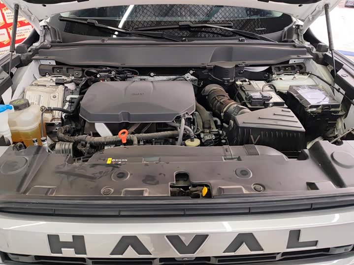 Фото 10 - Haval Dargo