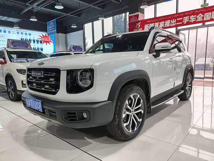 Фото 1 - Haval Dargo