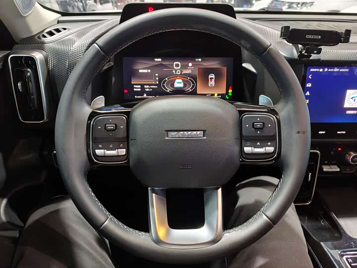 Фото 10 - Haval Dargo